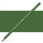 Lapis supracolor avulso 229 dark green 3888229 - Caran d'Ache