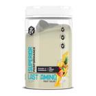 Last Amino 450G Evo-Fruit Salad - Evolution Nutrition Lab