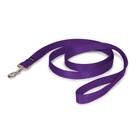 Leash PetSafe Nylon Dog, 1 polegada x 6 pés, forte, durável, roxo profundo