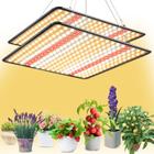 LED Grow Light BAVIHOR 200W (pacote com 2) de espectro completo para ambientes internos