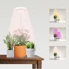 LED Grow Light GooingTop Halo para plantas de interior com temporizador