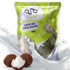 Leite de Coco em Pó Cremoso Premium 1Kg - P&P