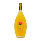 Licor bottega pesca 500 ml