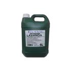 Limpador Perfumado Desinfetante Lavanda Eco Clean 5 Litros