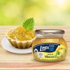 Linea Geleia Abacaxi Com Hortela 230G