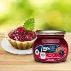 Linea Geleia Frutas Vermelhas 230G