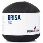 Linha Brisa Verão 100g - Pingouin