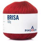 Linha Brisa Verão 100g - Pingouin