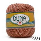 Linha Duna Círculo Mescla 100g