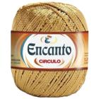 Linha Fio Encanto Brilhante 128 metros e 777 TEX Círculo para Crochê e Tricô