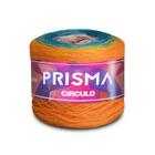 Linha Fio Prisma Para Crochê Circulo - 600m/150g