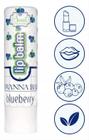 Lip Balm Protetor Labial Blueberry Com 3,5g