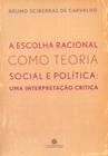 Livro - A escolha racional como teoria social e política