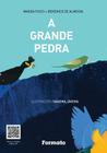 Livro - A grande pedra