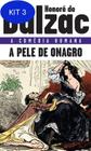 Livro - A pele de Onagro