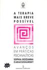 Livro - A terapia mais breve possível