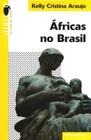 Livro - Áfricas no Brasil