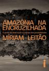 Livro - Amazônia na encruzilhada