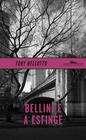 Livro - Bellini e a esfinge