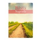 Livro - Bíblia ACF Letra Normal - Brochura - Neutra