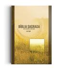 Livro - Bíblia NVI grande - Brochura - Neutra