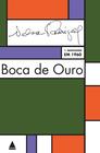 Livro - Boca de Ouro