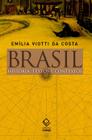 Livro - Brasil: história, textos e contextos