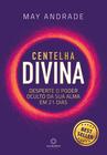 Livro - Centelha Divina