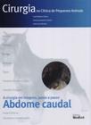 Livro - Cirurgia na Clinica de Pequenos Animais - Abdome Caudal - Gómez - Medvet