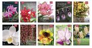 Livro - Coleção Rubi - Orquídeas da Natureza