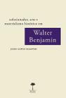 Livro - Colecionador, arte e materialismo histórico em Walter Benjamin