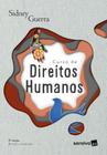 Livro Curso de Direitos Humanos Sidney Guerra