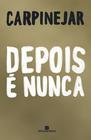 Livro - Depois é nunca