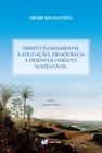 Livro - Direito fundamental a educação, democracia e desenvolvimento sustentável