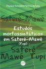 Livro - Estudos morfossintáticos em sateré-mawé (yupi)