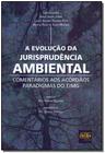 Livro - Evolucao Da Jurisprudencia Ambiental - 01Ed/18 - DEL REY LIVRARIA E EDITORA
