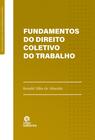 Livro - Fundamentos do direito coletivo do trabalho