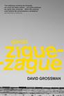 Livro - Garoto zigue-zague