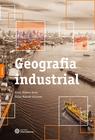 Livro - Geografia industrial