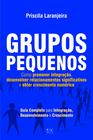 Livro: Grupos Pequenos Como Promover Integração  Priscila Laranjeira - ADSANTOS