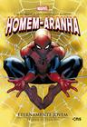 Livro - Homem Aranha eternamente jovem