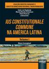 Livro - Ius Constitutionale Commune na América Latina - Volume I
