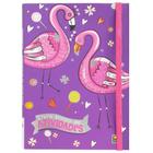 Livro - Livro-bolso de ATIVIDADES: Flamingos