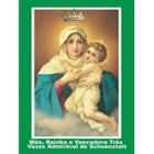 Livro Mãe Rainha e Vencedora Três Vezes Admirável - Ave-Maria