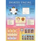 Livro - Mapa Shiatsu facial Técnicas de aplicação do shiatsu para o rejuvenescimento, visando o seu aspecto preventivo, - Editora Aquariana