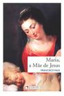 Livro - Maria, a mãe de Jesus
