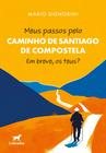 Livro - Meus passos pelo Caminho de Santiago de Compostela