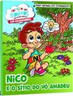 Livro - Nico E O Sitio Do Vo Amadeu