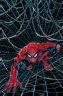 Livro - O Espetacular Homem-Aranha Vol. 20 / 64