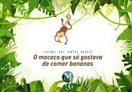 Macaco Albino em Seu Macaco Albinho: 9788563223326: Robles: Libros 